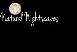 Logo Design by Terrilynn's Designs