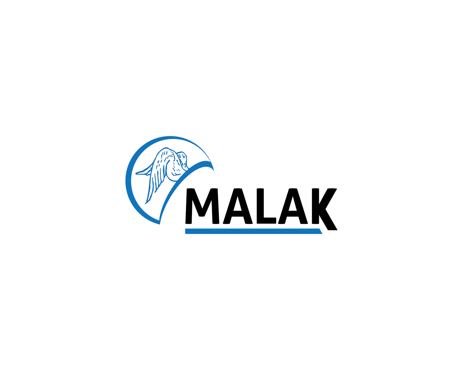 Logo Design by zibon for this project | Design #1831311