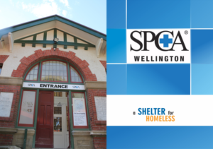 Flyer Design by Jyotsna for Wellington SPCA | Design: #7317731