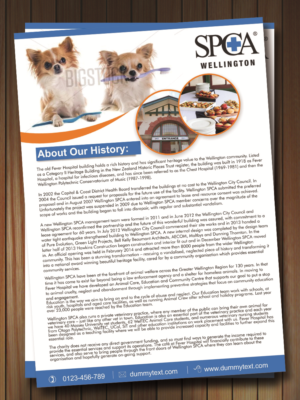 Flyer Design by ESolz Technologies