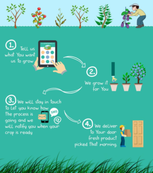 Design Infographie par Viango Design Studio