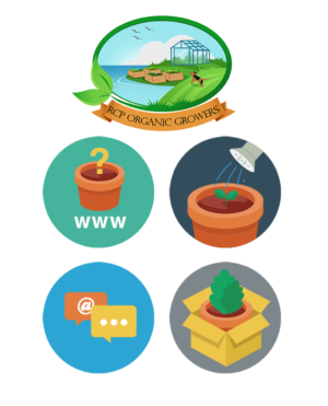 Infographic Design by Aidaverse