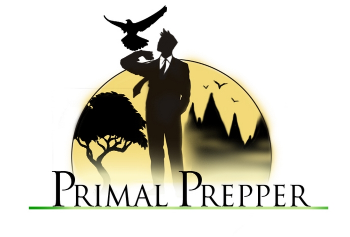 Logo Design by Ignis for Project Green Spark | Design #1867936