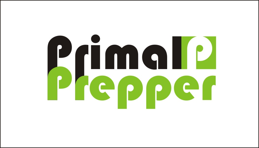 Logo Design by Alireza Mirzaei for Project Green Spark | Design #1838890