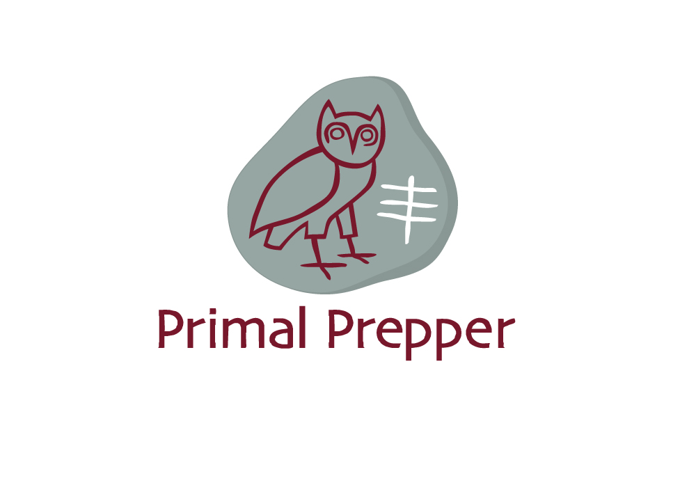 Logo Design by Nigel B for Project Green Spark | Design #1866581