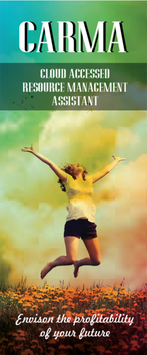 Graphic Design by roopaljain for eVision Services, LLC | Design: #7250712