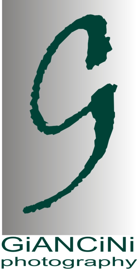 Logo-Design von Pavitra für Giancini Photography | Design #371729