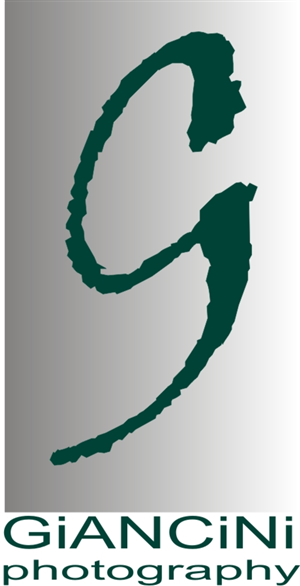 Diseño de Logo por Pavitra para Giancini Photography | Diseño: #371729