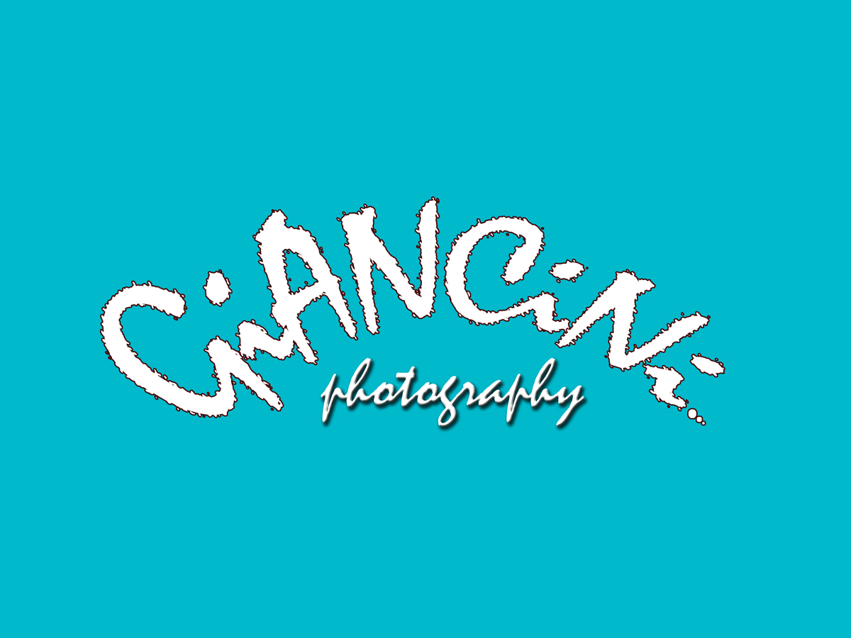 Logo Design by osfreelancer123 for Giancini Photography | Design #377466