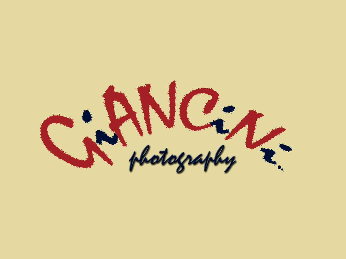 Logo Design by osfreelancer123 for Giancini Photography | Design #377476