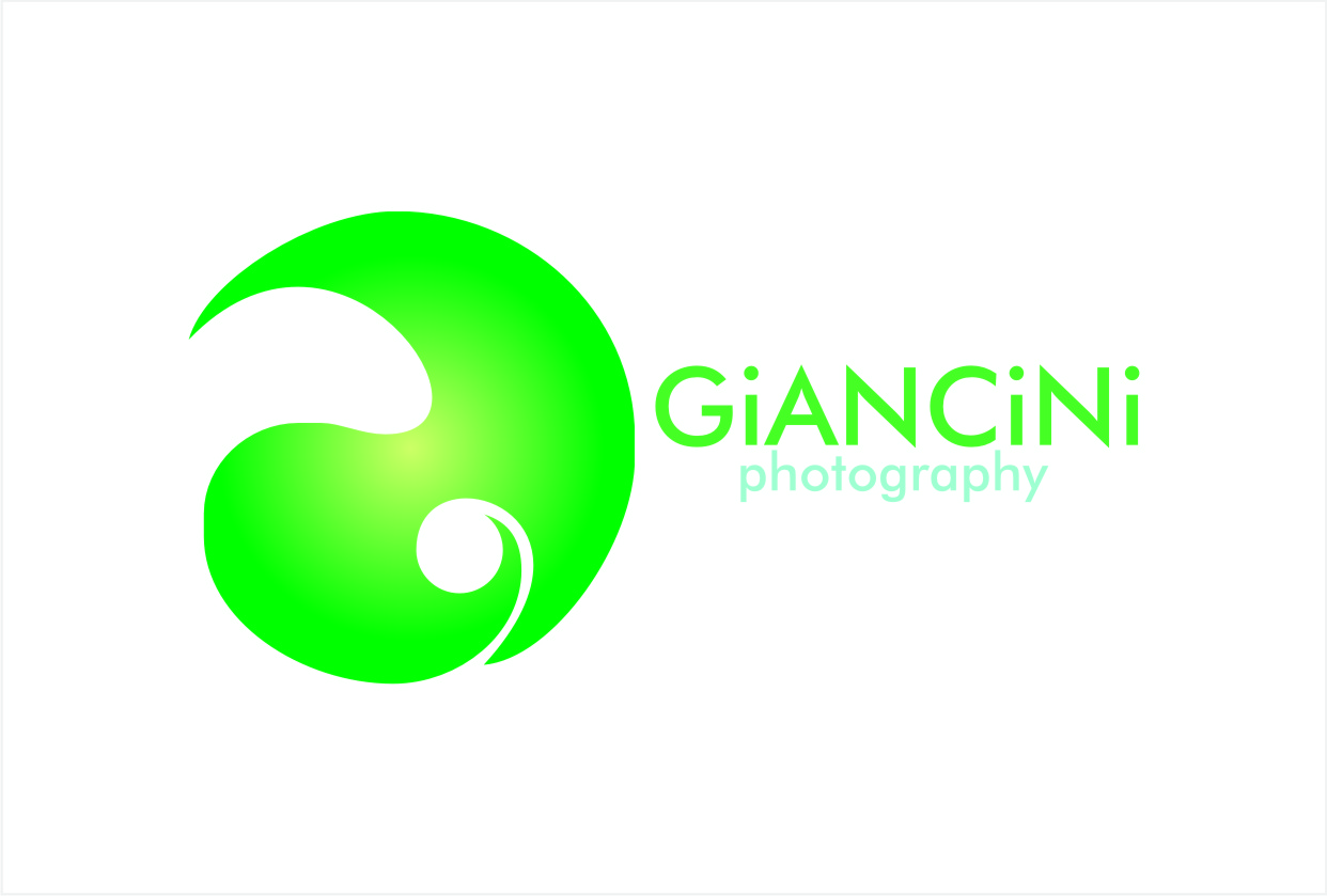 Logo Design by ENJOY/DESTROY for Giancini Photography | Design #381646