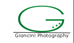 Logo Design by jecika84 for Giancini Photography | Design #376457