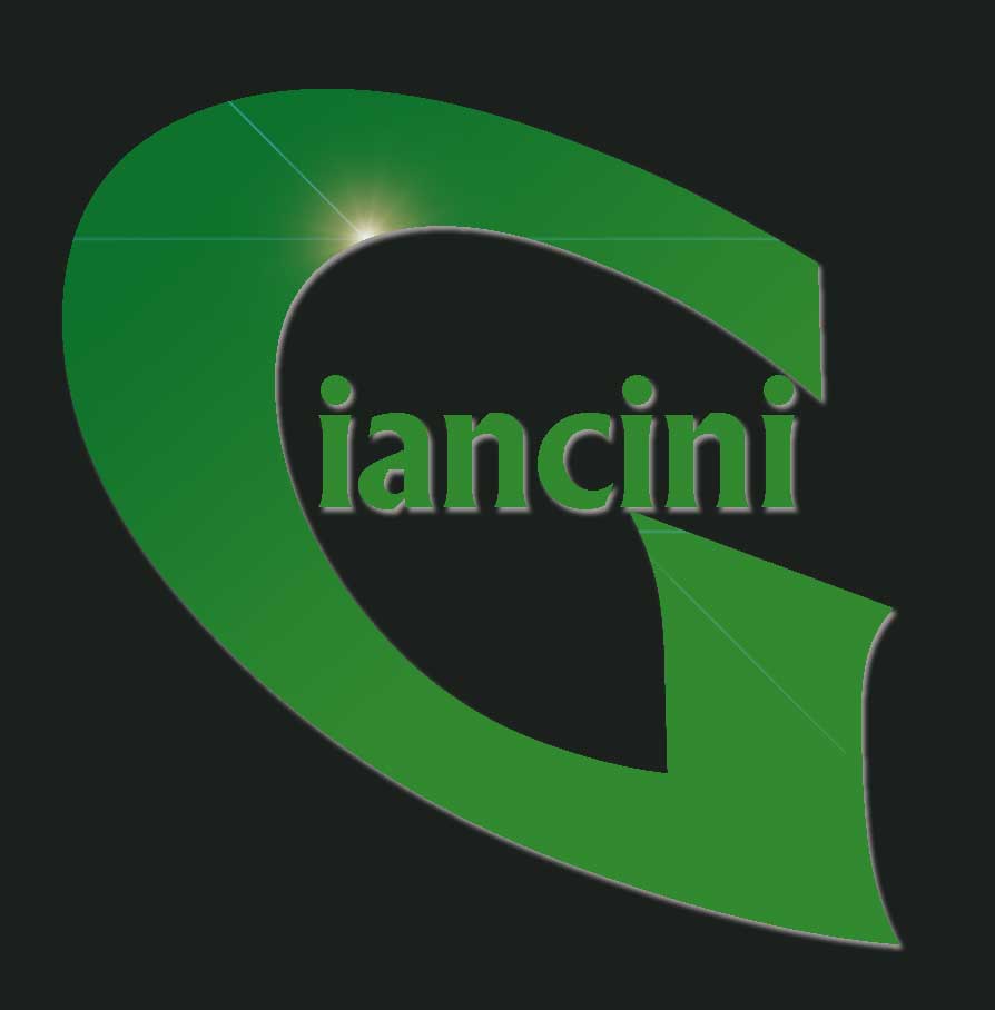 Logo Design by D-sign Krew for Giancini Photography | Design #380288