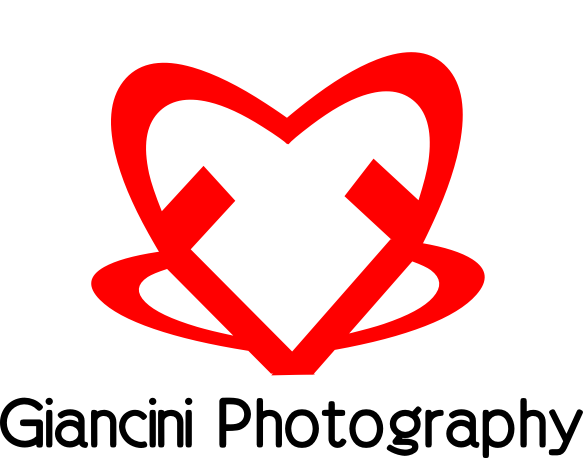 Logo Design by cvald for Giancini Photography | Design #374803