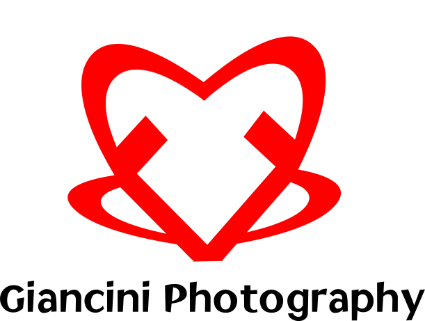 Logo Design by cvald for Giancini Photography | Design #374804