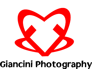 Logo Design by cvald for Giancini Photography | Design: #374804