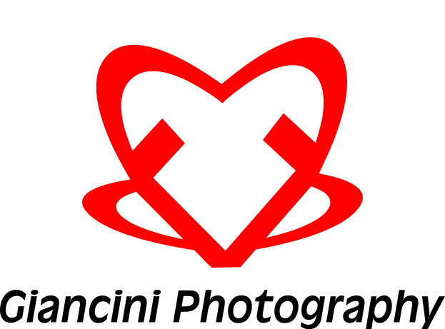 Logo Design by cvald for Giancini Photography | Design #374838