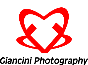 Logo Design by cvald for Giancini Photography | Design: #374838