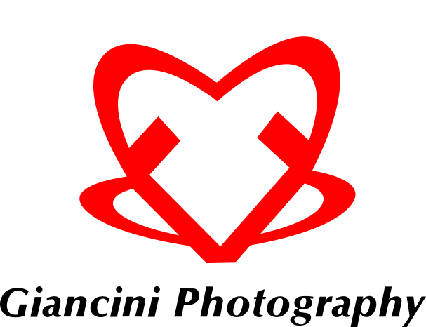 Logo Design by cvald for Giancini Photography | Design #374841