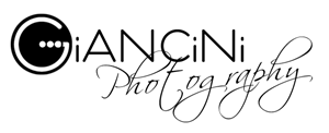 Logo Design by David Gilkes