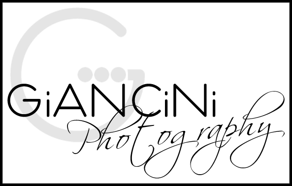 Logo Design by David Gilkes for Giancini Photography | Design #372488