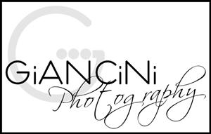 Logo Design by David Gilkes for Giancini Photography | Design: #372488