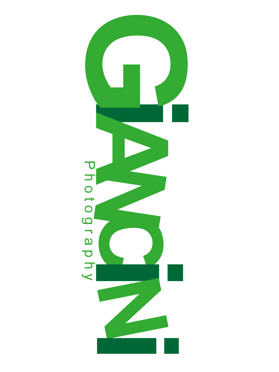 Logo Design by KS Designs for Giancini Photography | Design #374014