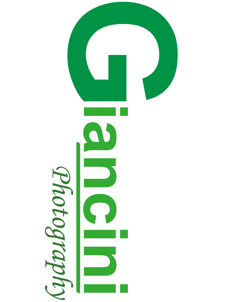 Logo Design by KS Designs for Giancini Photography | Design #374018