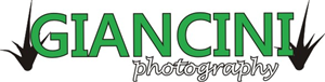 Diseño de Logo por Boost para Giancini Photography | Diseño: #371699