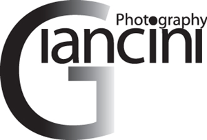 Logo Design by FPmedia