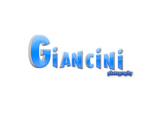 Design de Logo par EmaGFX pour Giancini Photography | Design : #379947