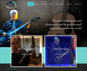 Web Design by rightway for Alien Audio, LLC | Design: #7243801