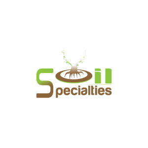 Logo Design by designerbdg