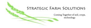 Logo Design by Chroma