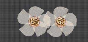 Design Graphique par ash pour ce projet | Design #7408969