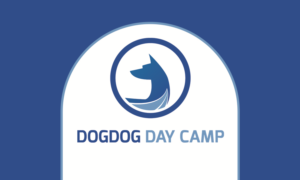 Logo-Design von gowes für dieses Projekt | Design: #7259205