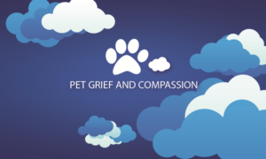 Business Card Design by DjRazor for Pet Grief And Compassion | Design: #7277702