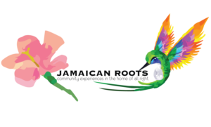 Logo Design by Roksana Skura / PIEL Design