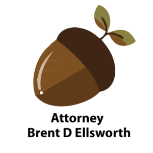 Logo Design by karim abbas ali