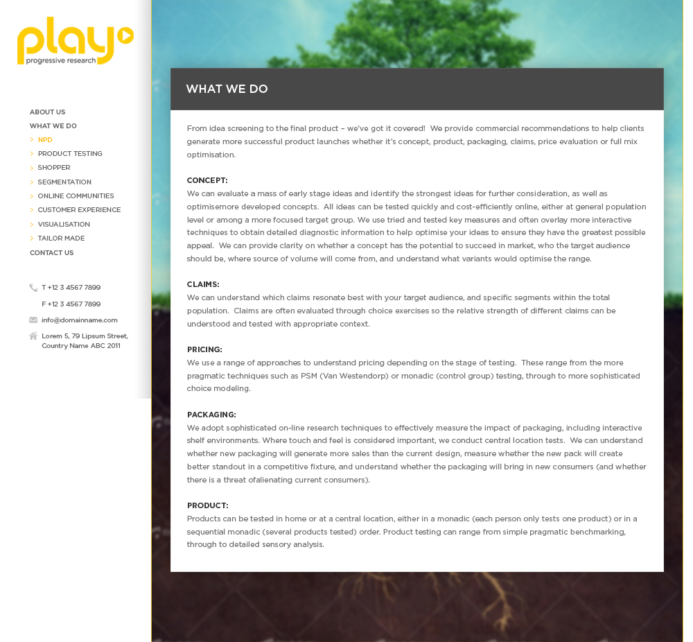 Web Design by Vedanta Web Solutions for PLAY MR | Design #1860748