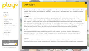Web Design by Vedanta Web Solutions for PLAY MR | Design #1870024