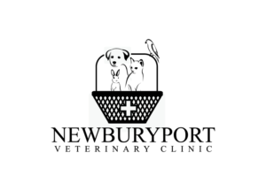 Logo Design by creative.bugs for this project | Design #7276331