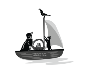 Logo Design by Roksana Skura / PIEL Design