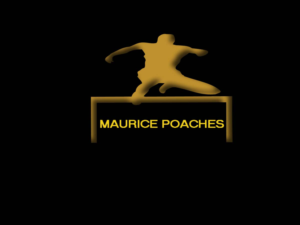 Logo Design by Bluerays Designs for this project | Design: #7302199