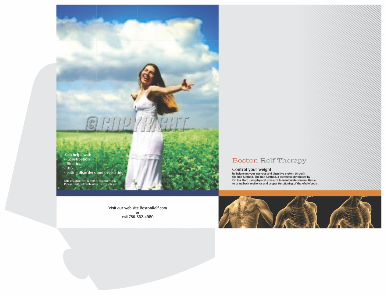 Flyer Design by barinix for Boston Rolf | Design #1850203