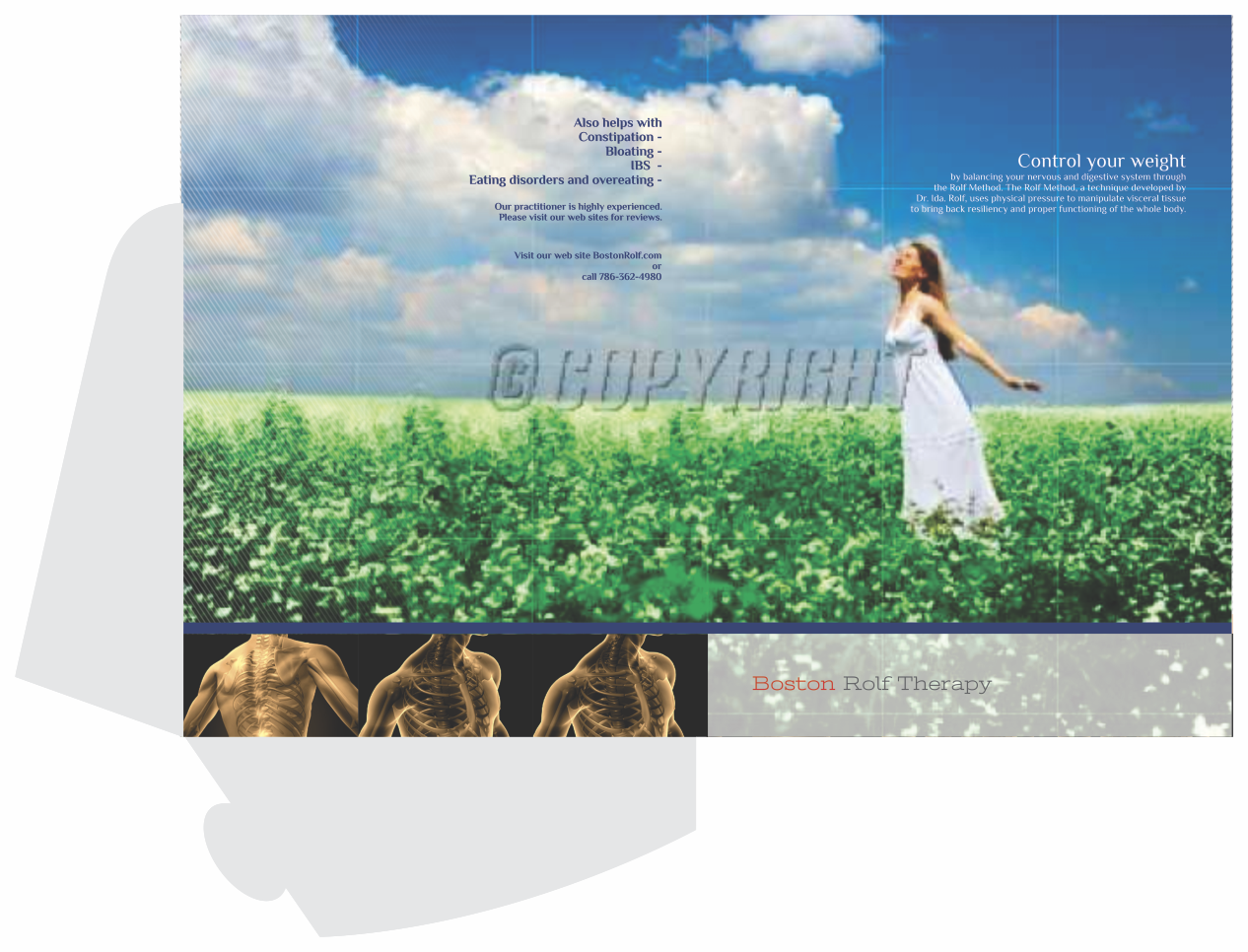 Flyer Design by barinix for Boston Rolf | Design #1850227