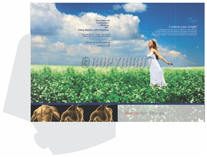 Flyer Design by barinix for Boston Rolf | Design: #1850227