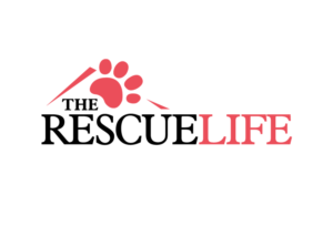 Logo-Design von QissDesign Solution für dieses Projekt | Design: #7284410