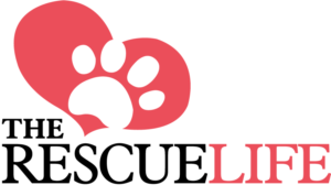 Logo-Design von QissDesign Solution für dieses Projekt | Design: #7284652