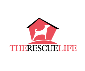 Logo-Design von QissDesign Solution für dieses Projekt | Design: #7284653